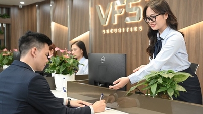 អគ្គនាយករង Nhat Viet Securities (VFS) បានចុះឈ្មោះភ្លាមៗដើម្បីទិញភាគហ៊ុនចំនួន 7 លាន