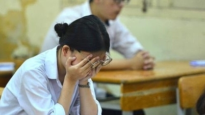 Lý do gần 14.000 học sinh giỏi trượt xét tuyển sớm Trường ĐH Sư phạm TPHCM