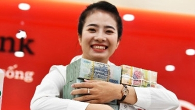 វៀតណាមទិញអគ្គិសនីពីរោងចក្រវារីអគ្គិសនីឡាវចំនួន ២៦; អត្រាការប្រាក់បន្តធ្លាក់ចុះនៅឆ្នាំ 2024