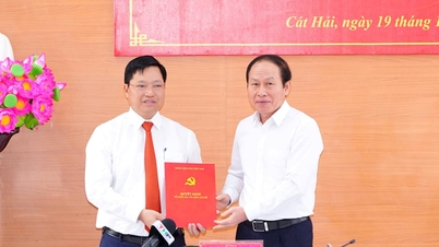 Giám đốc Sở TN&MT TP Hải Phòng Trần Văn Phương giữ chức Bí thư Huyện ủy Cát Hải