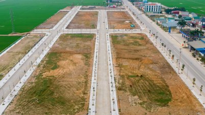 Nhà đầu tư gặt hái được gì tại dự án BT Triệu Sơn?
