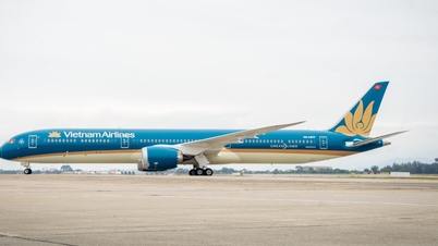 Tỉ lệ cất cánh đúng giờ của Vietnam Airlines năm 2024 ra sao?