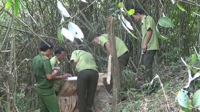 Xem xét, thi hành kỷ luật nhiều nguyên cán bộ