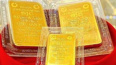 Ngân hàng Nhà nước tiếp tục đấu thầu thành công 7.900 lượng vàng