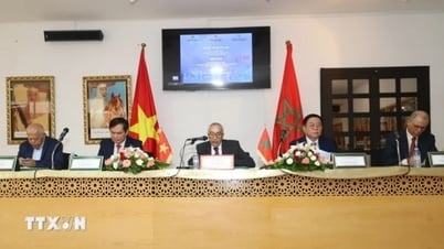 Hội thảo Chủ tịch Hồ Chí Minh và phong trào giải phóng dân tộc tại châu Phi, quan hệ Việt Nam-Morocco