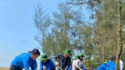 Thanh Hóa đầu tư du lịch xanh bảo vệ môi trường