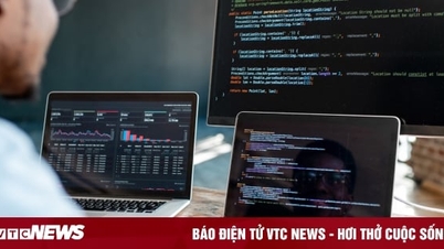 Bước đệm định hình nghề nghiệp tương lai