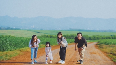 Du xuân, check-in đồng cỏ rộng hàng ngàn ha xanh mướt “đẹp như mơ” ở Nghĩa Đàn, Nghệ An
