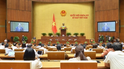 Đề xuất không lấy phiếu tín nhiệm đối với người đang chữa bệnh hiểm nghèo