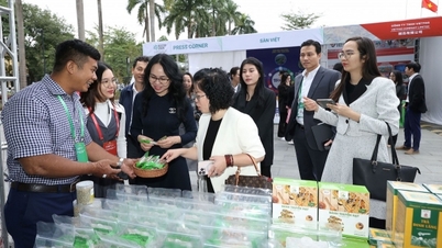 ពាណិជ្ជកម្មអេឡិចត្រូនិកឆ្លងព្រំដែន៖ ឱកាស និងបញ្ហាប្រឈមសម្រាប់ការនាំចេញផលិតផលវៀតណាម