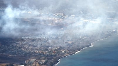 Bão lửa Hawaii là thảm họa 'có thể đoán trước'