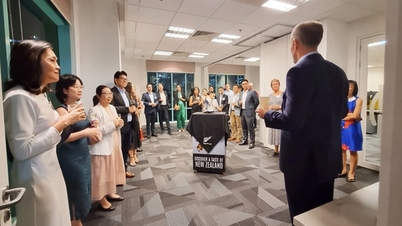Edtech New Zealand bắt đầu 'để mắt' đến Việt Nam, người học được lợi gì?