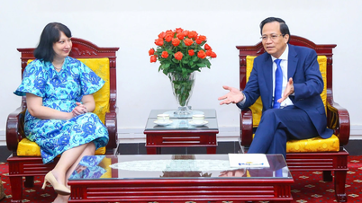 ប្រទេសជាច្រើន "បញ្ជា" វៀតណាមឱ្យផ្តល់ធនធានមនុស្ស