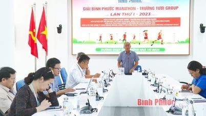 Gần 1.500 vận động viên đã đăng ký tham gia giải Bình Phước marathon - Trường Tươi Group lần thứ I, năm 2023