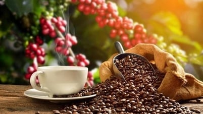 Giá xuất khẩu cà phê năm 2024 được dự báo ra sao?