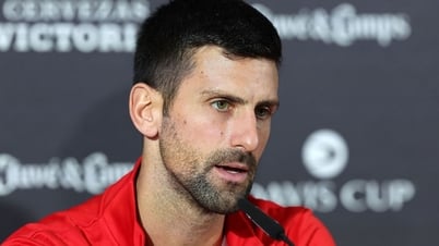 Djokovic: 'Defeat at Davis Cup is hard to swallow'