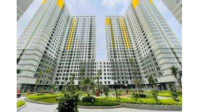 Investing in rental apartments is still popular despite low profit margins