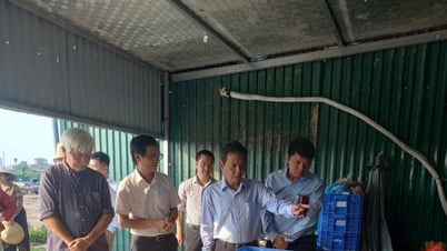 Cần giải pháp bảo tồn phù hợp