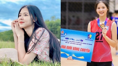 ទម្លាយ​ប្រវត្តិ​គ្រួសារ​របស់​បវរកញ្ញា​កីឡា​បាល់ទះ​ដែល​ឈាន​ចូល​ដល់​វគ្គ​ផ្ដាច់ព្រ័ត្រ​បវរកញ្ញា​ពិភពលោក​វៀតណាម