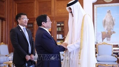 Prime Minister Pham Minh Chinh meets with the Emir of Qatar