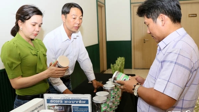 Triển khai hệ thống thông tin về an toàn thực phẩm