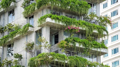 Vietnam Green Building Week 2024 នឹងមកដល់ក្នុងពេលឆាប់ៗនេះ