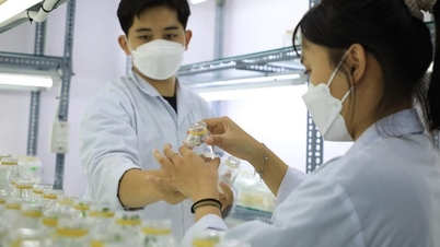 Nơi đào tạo nhân lực chất lượng cao