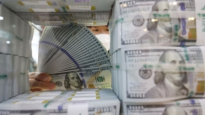 USD, EUR, CAD, Yen Nhật, Bảng Anh, tỷ giá hối đoái... Đồng bạc xanh phục hồi