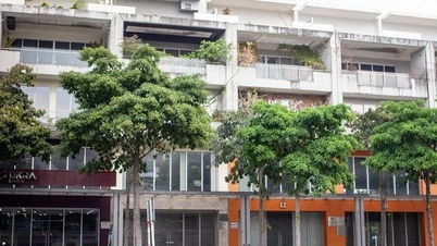 Nhà đầu tư của Công ty Eternal Properties Thảo Điền “ngồi trên lửa"