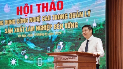 Chuyển đổi số, giải pháp quan trọng trong bảo vệ, phát triển rừng bền vững