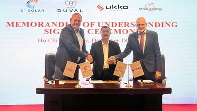 Cú bắt tay giữa CT Solar Home và các doanh nghiệp quốc tế về phát triển năng lượng mặt trời áp mái