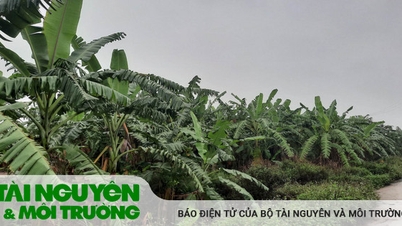 មានសញ្ញានៃការរំលោភបំពានអំណាច។