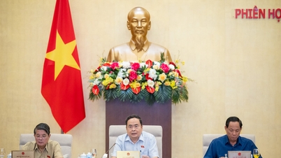 លើកកម្ពស់ការអប់រំ បណ្តុះបណ្តាល និងការប្រើប្រាស់ធនធានមនុស្សបន្ថែមទៀត