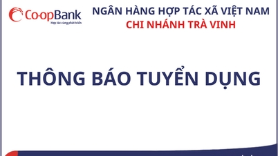 ដំណឹងជ្រើសរើសបុគ្គលិក