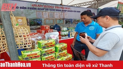 Biến tiềm năng thành lợi thế phát triển