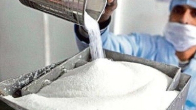 Sau gạo, Ấn Độ có thể sẽ xem xét cấm xuất khẩu đường