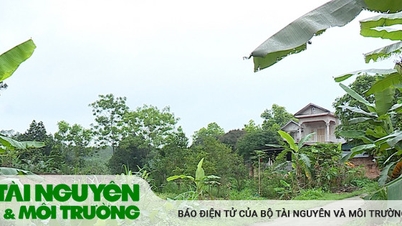 ប្រតិបត្តិការ​អចលន​ទ្រព្យ​នៅ​សុក​សឺន​ជួប​ការ​លំបាក