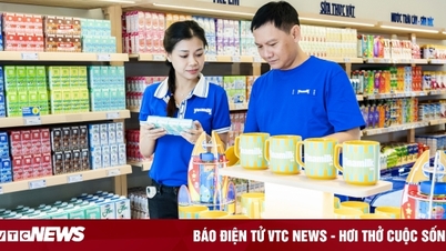 Vinamilk opens recruitment campaign with more than 100 attractive job opportunities