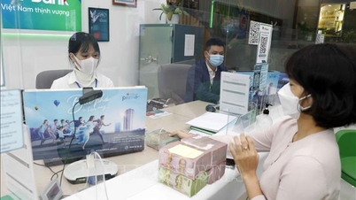 Lãi suất thấp và kéo dài, dòng tiền sẽ đổ về đâu?