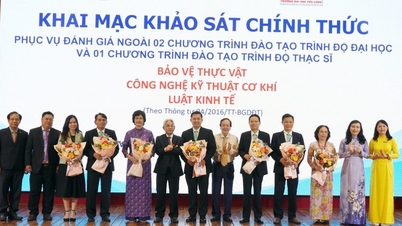 ការវាយតម្លៃគុណភាពនៃកម្មវិធីបណ្តុះបណ្តាលចំនួន 3 នៅសាកលវិទ្យាល័យ Cuu Long