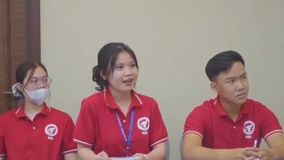 If they don't want to continue studying culture, which direction should junior high school graduates choose?