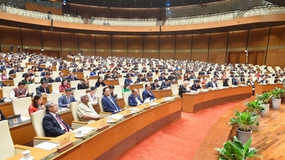 Hôm nay (23/5), Quốc hội thảo luận chương trình xây dựng luật 2024, dự án Luật Giá; nghe công tác thực hành tiết kiệm, chống lãng phí