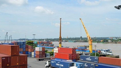 Công ty cổ phần Cảng Đồng Nai lãi bình quân 1 tỷ đồng mỗi ngày