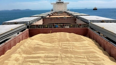 There is still a chance to revive the Black Sea Grain Initiative, Russia makes a new proposal
