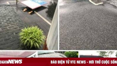 Điều tra vụ thi thể nữ công nhân bị ô tô kéo lê 6km sau tai nạn