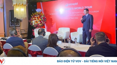 ទេសចរណ៍វៀតណាមមានការរំពឹងទុកខ្ពស់ពីភ្ញៀវអូស្ត្រាលី