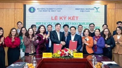 ជំរុញការគ្រប់គ្រងថ្នាំសម្លាប់សត្វល្អិតប្រកបដោយនិរន្តរភាពនៅវៀតណាម