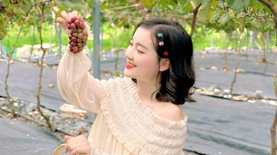 Làm vườn cho giới trẻ sống ảo, nông dân "đếm tiền mỏi tay"