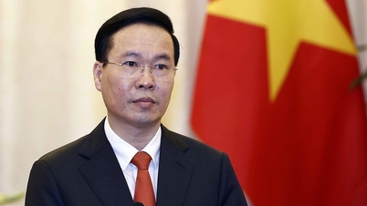 Vietnam expresses solidarity with the Palestinian people