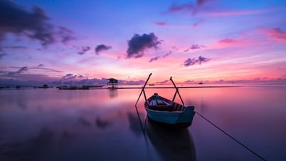 Việt Nam - ngôi nhà của chúng ta